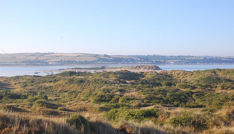 Braunton Burrows